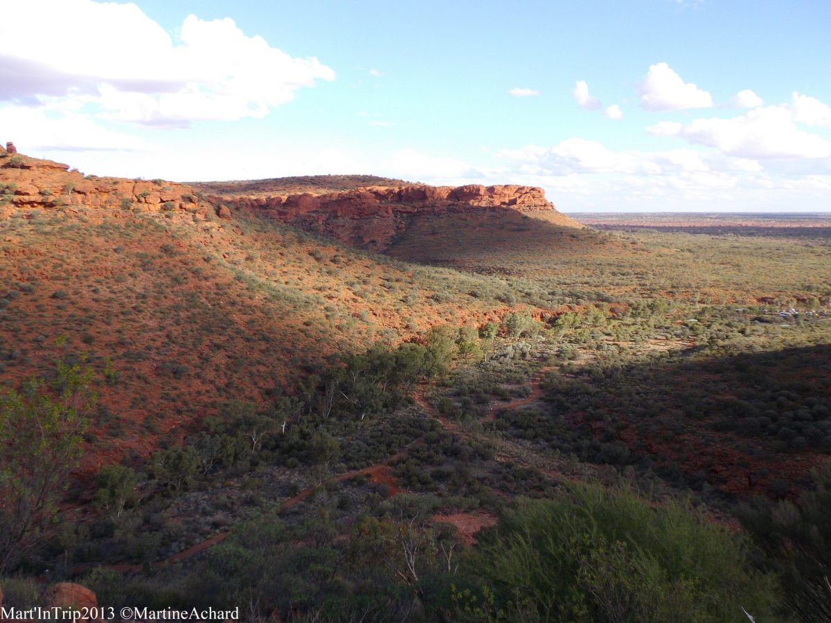 vu sur le côté extérieur du canyon avec une forêt au pied
